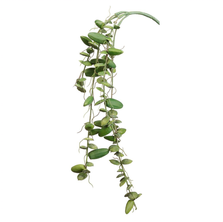 Real Touch Dischidia Hanging Spray | 24"