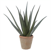 Agave Clay Pot | 24"