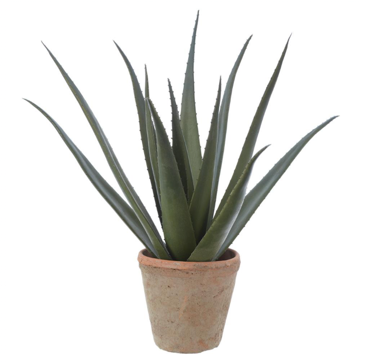 Agave Clay Pot | 24"
