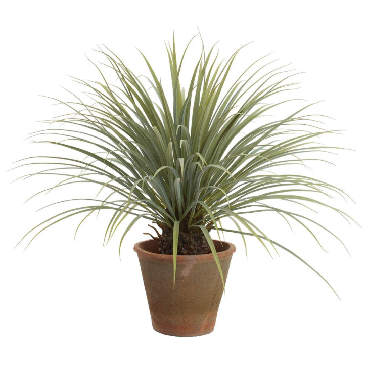 Whipple Yucca Clay Pot | 38"