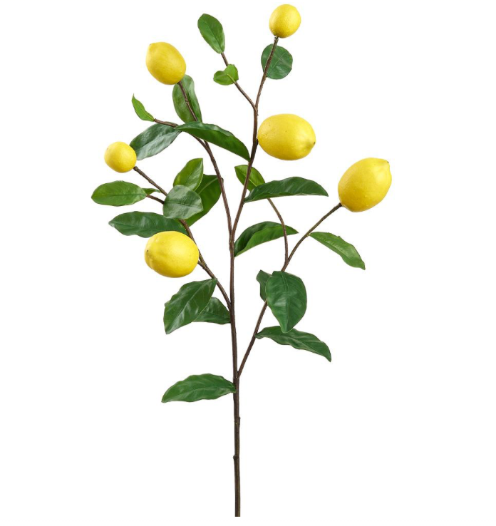 Faux Lemon Spray | 38"