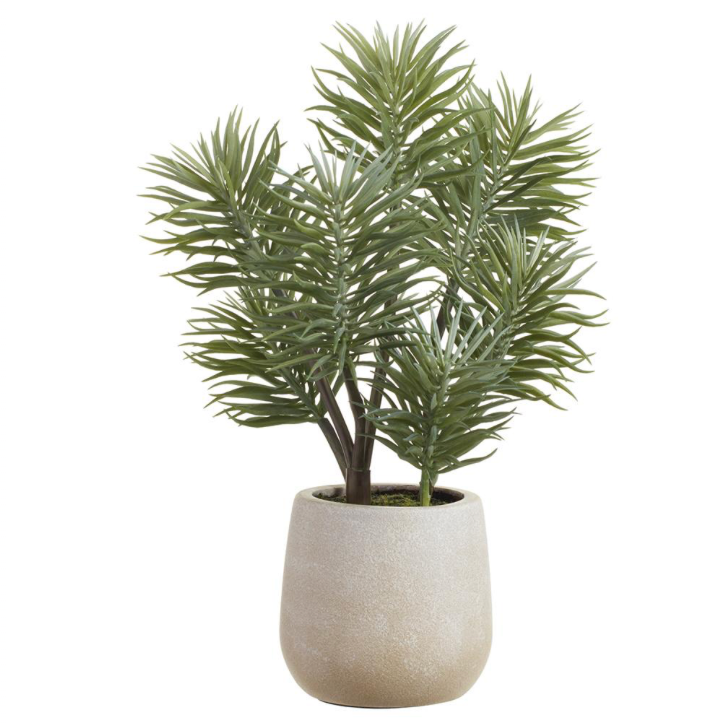 Senecio Faux Stone Pot | 13"