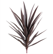 Yucca Plant | 27"