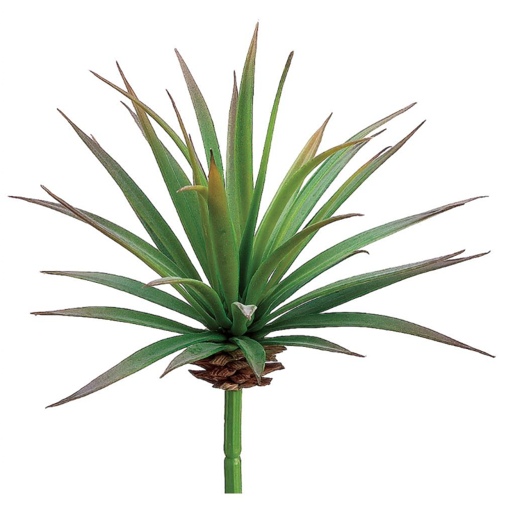 Yucca Pick | 6.5"