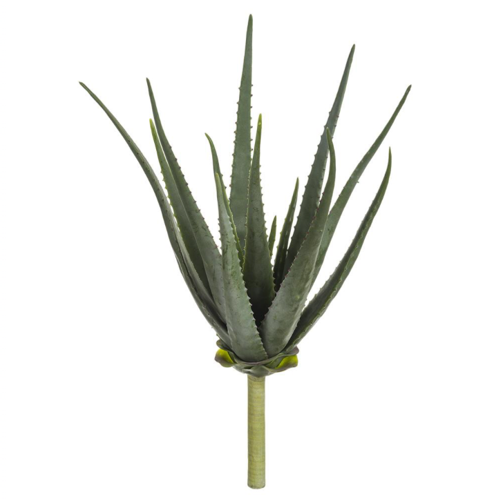 Soft Agave Pick | 22"