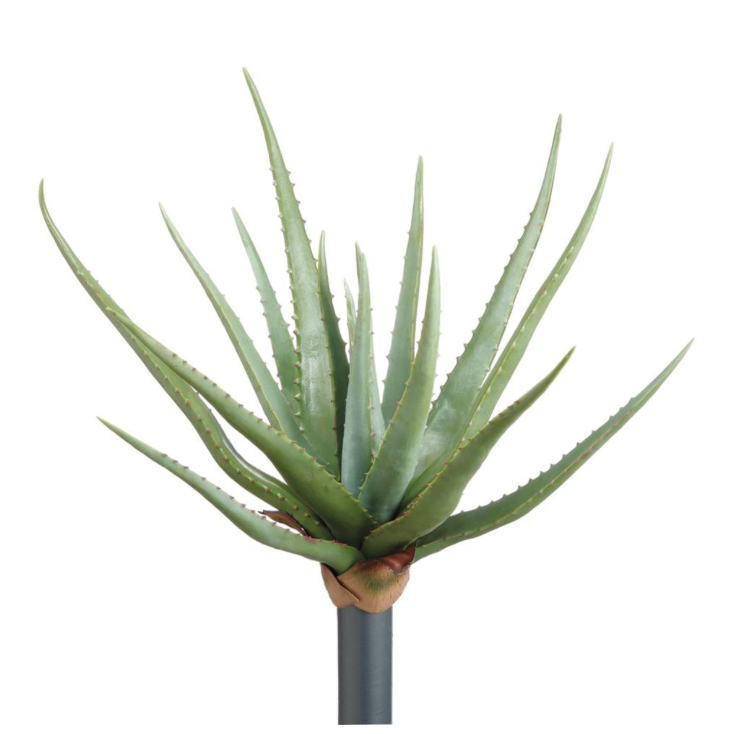 Real Touch Agave Plant | 19"