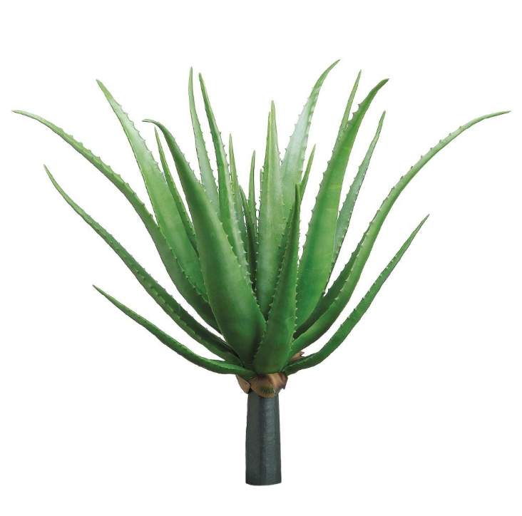 Real Touch Agave Plant  | 26"