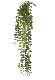 Vine Hanging Bush | 37"