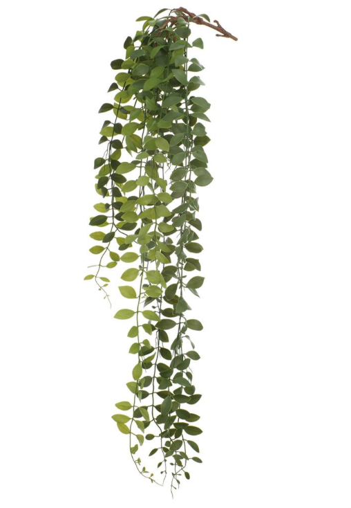 Vine Hanging Bush | 37"