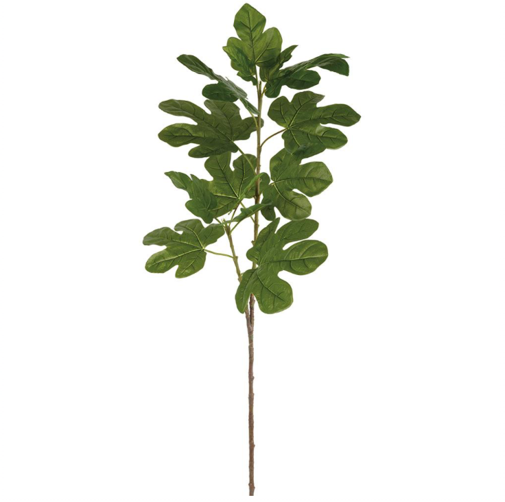 Fig Leaf Spray | 48"