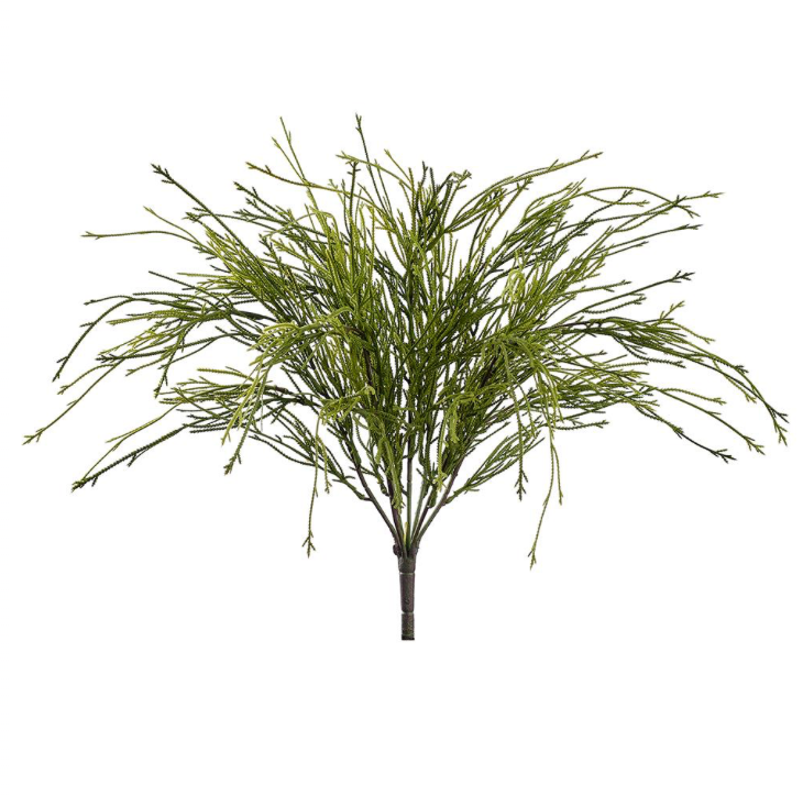 Moss Fern Bush | 22"
