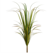 Reed Grass Bush | 67"