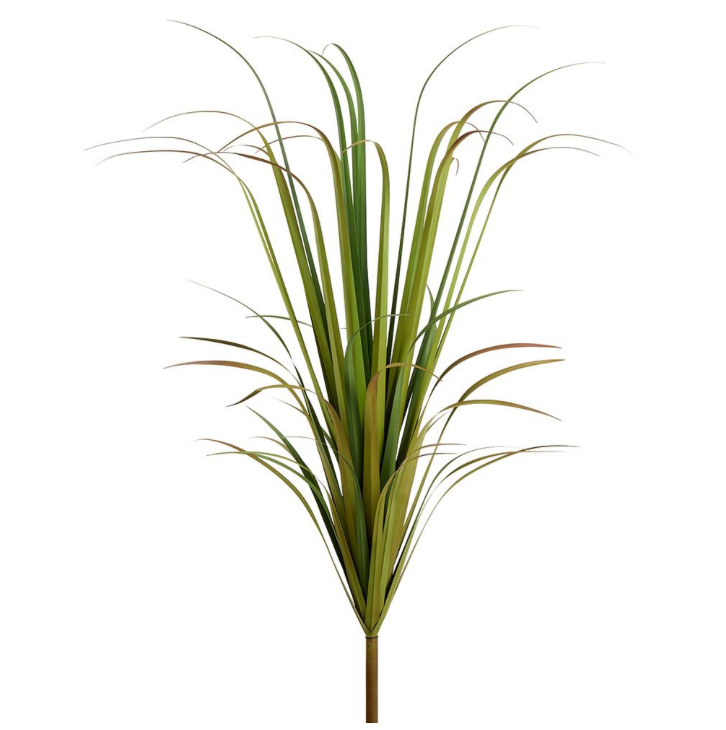 Reed Grass Bush | 67"