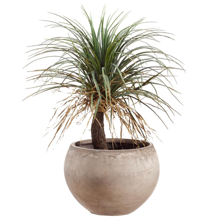 Desert Palm Tree Planter | 39.5"