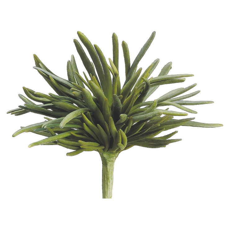 Real Touch Finger Succulent Bush | 10"