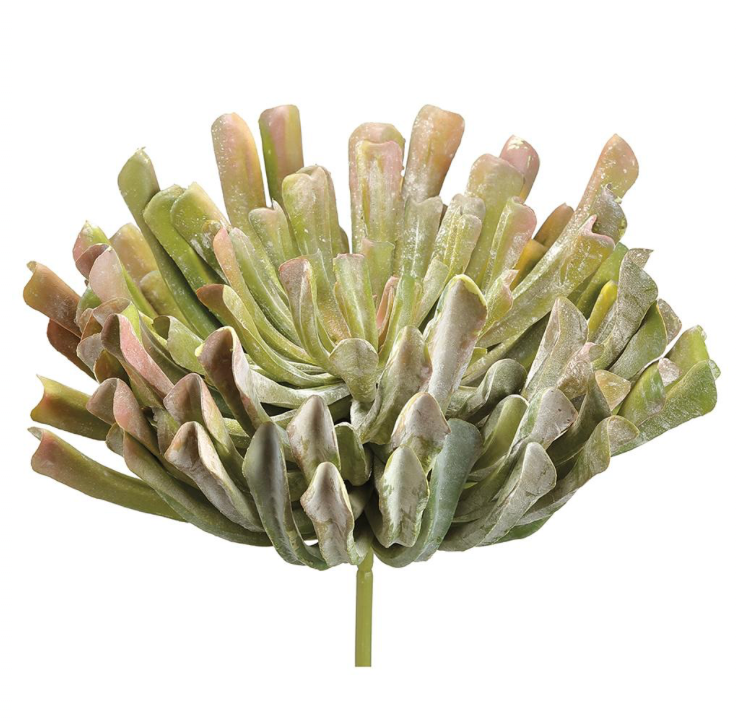 Real Touch Aeonium Pick | 13"