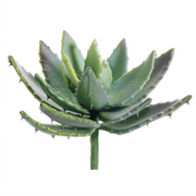 Real Touch Aloe Plant | 8"