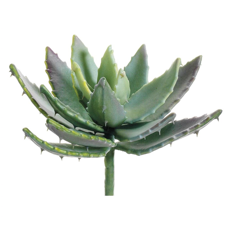 Real Touch Aloe Plant | 8"