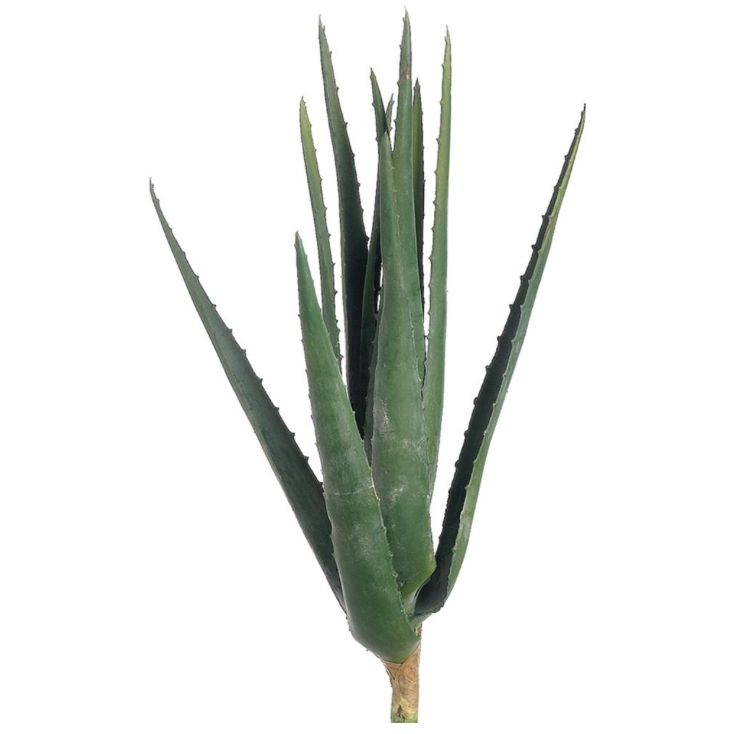Real Touch Aloe | 17"
