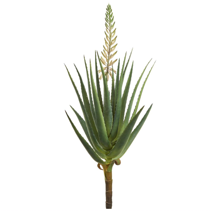 Blooming Agave Plant | 44.75"