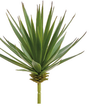 Yucca Pick | 7"