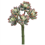 Real Touch Mini Echeveria | 9"