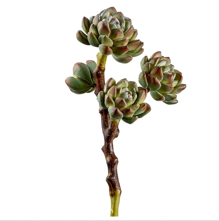 Hen & Chicks Pick | 10"