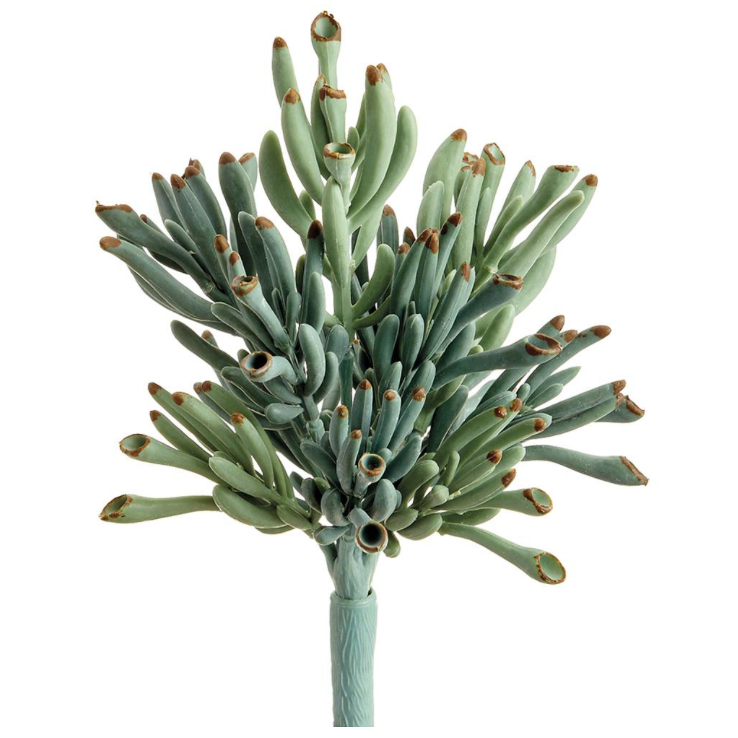 Coral Succulent Pick | 9"