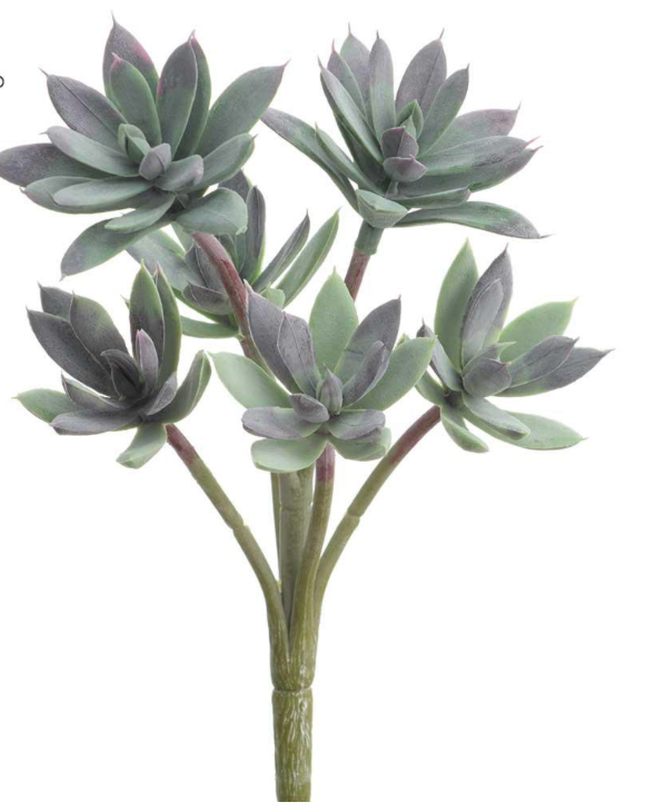Sedum Pick | 11"
