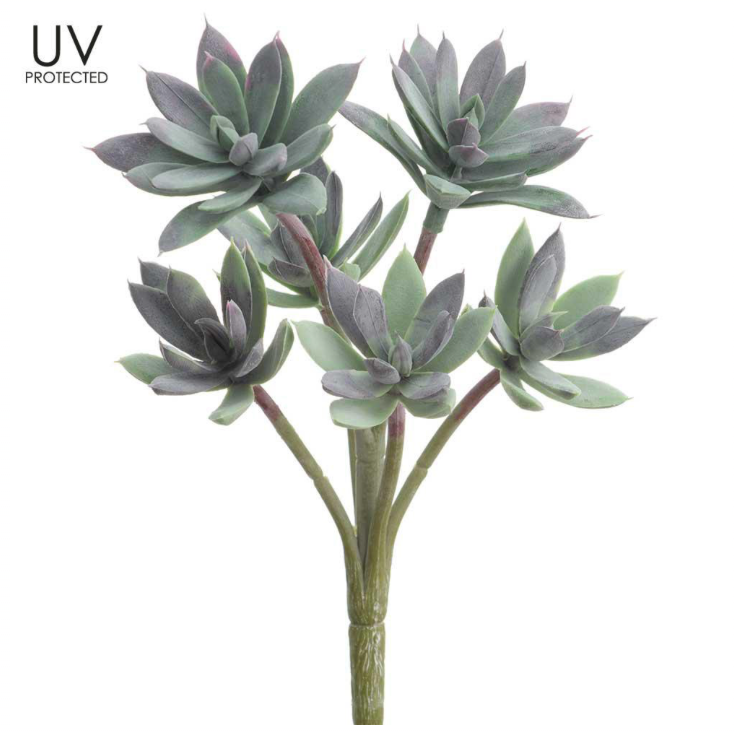 Sedum Pick | 11"