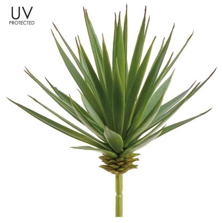 Yucca Pick | 7"
