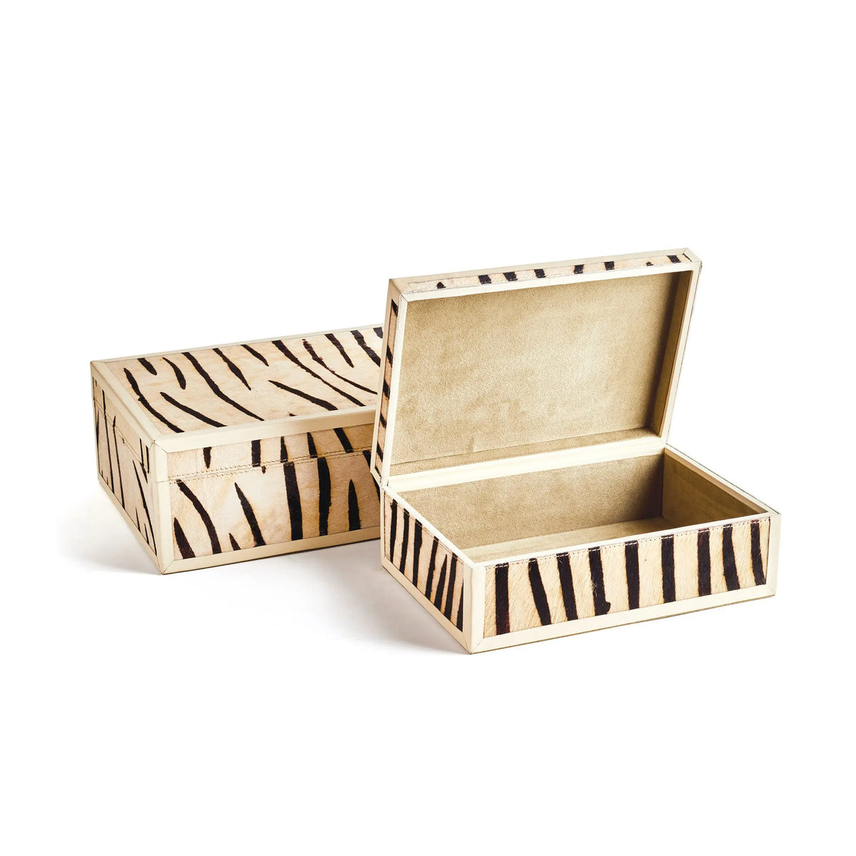 Zebra Box Set