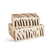 Zebra Box Set